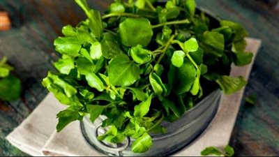 الجرجير يقوي المناعة ويحمي من أمراض القلب 