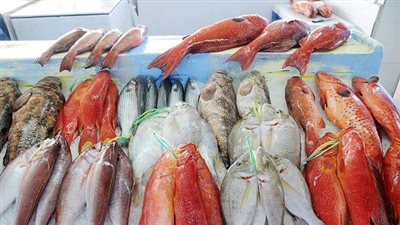 انهيار البوري وقفزة في البلطي، أسعار السمك اليوم بسوق العبور