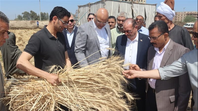 محافظ القليوبية يتابع