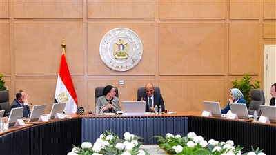 وزيرا الكهرباء والبيئة يبحثان الحد من الانبعاثات الكربونية والحفاظ على التنوع البيولوجي