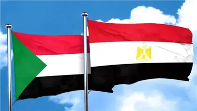 أبرز 4 سلع استوردتها مصر من السودان خلال عام 2024 