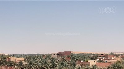 العاصفة الترابية تقترب، استقرار نسبي في الطقس بالوادي الجديد (فيديو وصور)