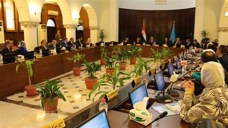 جامعة الإسكندرية،
