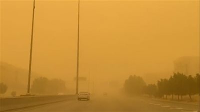 زراعة الجيزة: إجراءات استباقية عاجلة للمزارعين لمواجهة التقلبات الجوية الحادة غدا