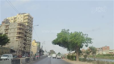 ما قبل العاصفة، طقس مشمس مصحوب بارتفاع سرعة الرياح في الدقهلية (صور) 
