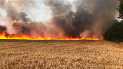 إخماد حريق في مزرعة قمح بقنا