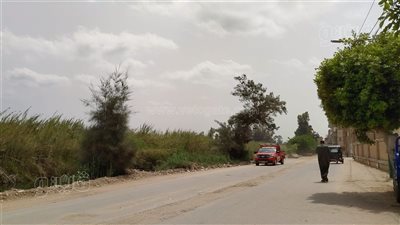 استقرار الأحوال الجوية في الغربية (فيديو)