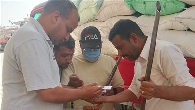 محافظة الجيزة: توريد 16 ألف طن قمح منذ انطلاق الموسم 