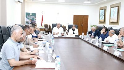 توجيهات محافظ الوادي الجديد لتيسير إجراءات تملك الأراضي ودعم الاستثمار