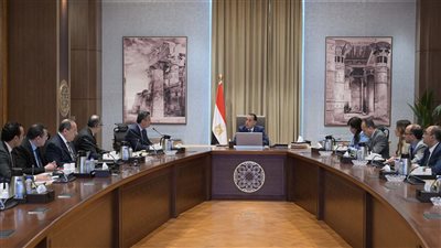 14 شهرًا من السكر و12 من اللحوم.. أرقام تكشف قوة المخزون الاستراتيجي لمصر