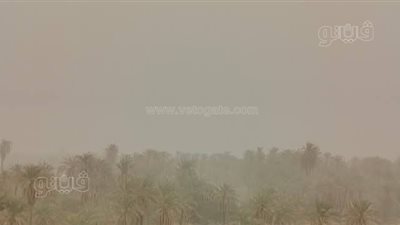 عاصفة ترابية ورياح خماسينية محملة بالأتربة تجتاح الوادي الجديد (صور)