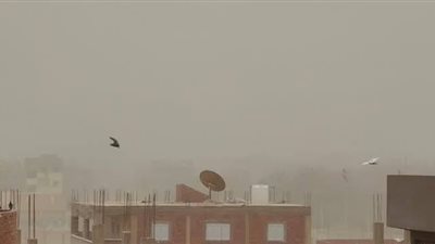 رئيس حي العرب ببورسعيد: استعدادات مكثفة للتعامل مع حالة الطقس غير المستقر