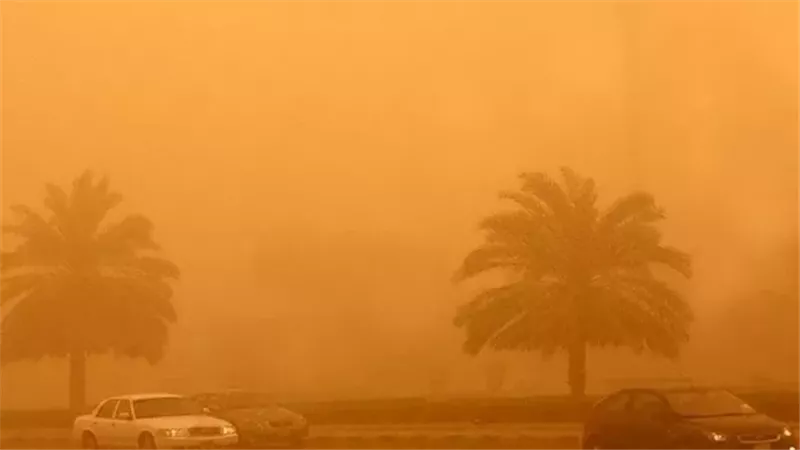طقس الغد،فيتو