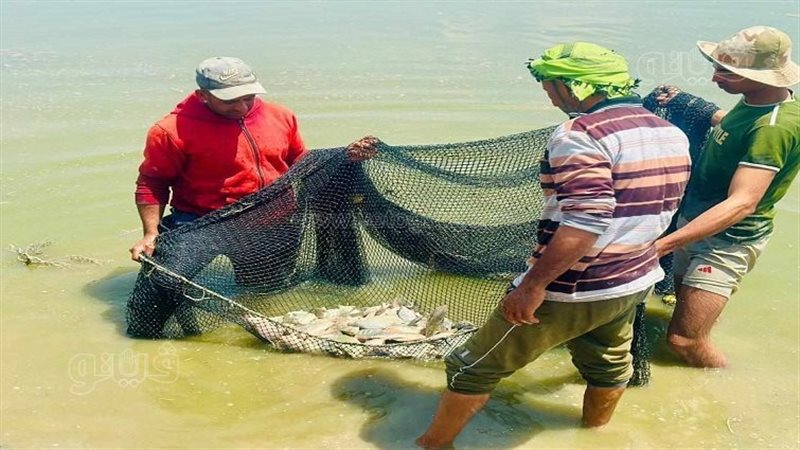 جولة داخل مفرخ العباسة