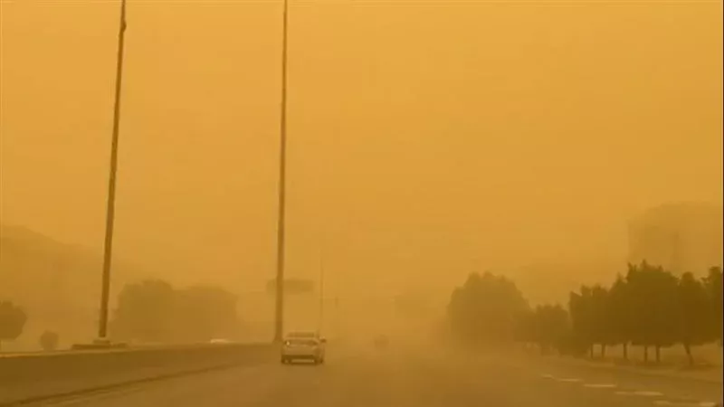حالة الطقس، فيتو