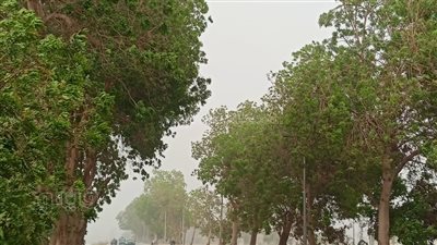 العاصفة الترابية تضرب الأقصر وتتسبب في إيقاف الملاحة النهرية (فيديو وصور)