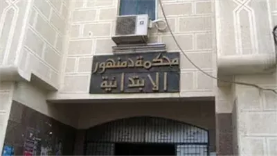 حكم من أول جلسة.. المؤبد للمتهم بالاعتداء على طفل البحيرة.. الجاني: «معملتش حاجة».. والضحية يواجهه في بدلة سبايدر مان