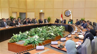 وزيرة التنمية المحلية: ارتفاع نسب الترفيق للمناطق الصناعية الأربعة في قنا وسوهاج