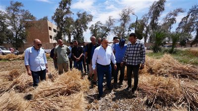 محافظ أسيوط يشارك العمال احتفالات عيدهم ويتفقد حصاد القمح بمزرعة بني سند (صور) 