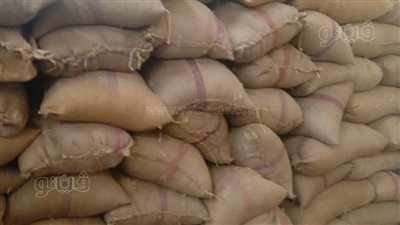 شون وصوامع المنيا تستقبل 100 ألف طن قمح منذ بدء موسم الحصاد