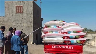 توريد 132 ألف طن قمح لشون وصوامع الشرقية منذ بدء موسم الحصاد
