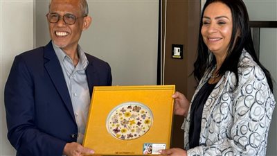 مايا مرسى تبحث مع وزير الأسرة السنغافوري التعاون في مجالات الحماية الاجتماعية