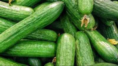 فوائد الخيار، يرطب الجسم ويعزز صحة القلب والكلى 