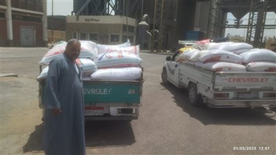 توريد 14 ألفا و885 طن قمح لصوامع الإسماعيلية 