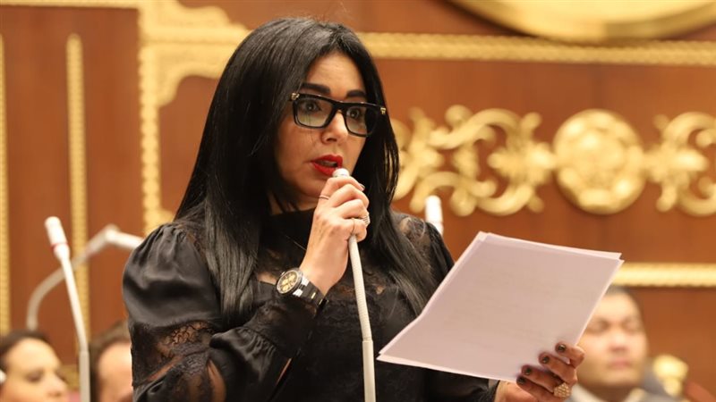 النائبة ريهام عفيفي،