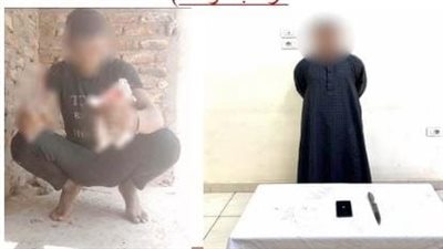 ضبط شخص اعتدى على قطة بسلاح أبيض ونشر فيديو بقصد الربح