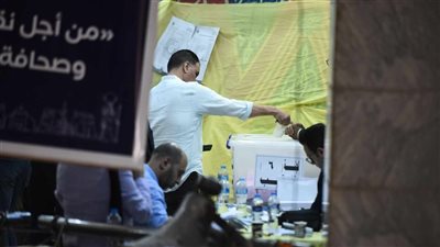 اللجنة المشرفة على انتخابات الصحفيين تقرر مد التصويت ساعة (فيديو وصور)