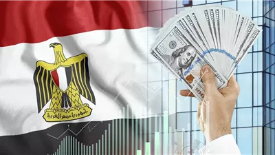  أخبار الاقتصاد اليوم: ارتفاع أسعار الفراخ البيضاء بالأسواق اليوم، الذهب عيار 21 يستقر عند 4892.5 جنيها، 