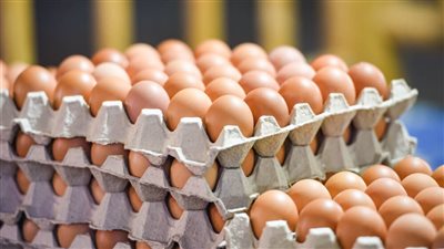 انخفاض كبير في أسعار البيض اليوم بالأسواق