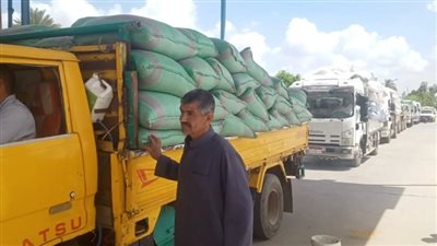 توريد 57 ألفًا و662 طنًا من القمح المحلي في قنا