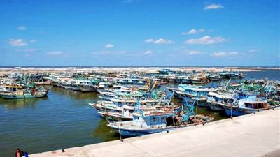 عودة الملاحة في سواحل البحر المتوسط بكفر الشيخ واستئناف رحلات الصيد من ميناء البرلس