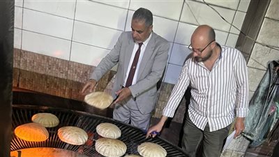 ضبط 5 أطنان دقيق مهرب وتحرير 249 مخالفة في حملة تموينية بالدقهلية