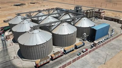 توريد 195 ألف طن قمح لصوامع الوادي الجديد 