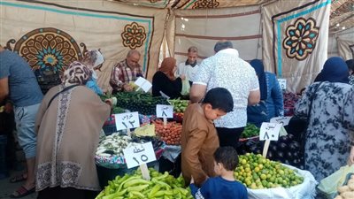استمرار الإقبال على أسواق اليوم الواحد في الدقهلية