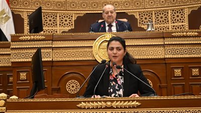 خطة إنقاذ شركات قطاع الأعمال العام.. نواب واقتصاديون: إعادة الهيكلة خطوة نحو تعظيم الأصول.. وزيادة الإنتاج وتوظيف الثروات الكامنة