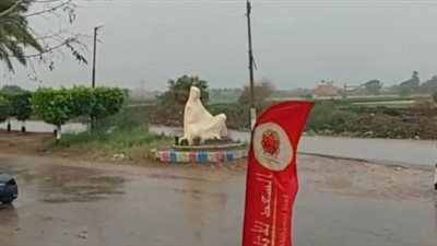 أجواء شتوية في مايو، أمطار تهطل على مناطق متفرقة بالجيزة (فيديو)