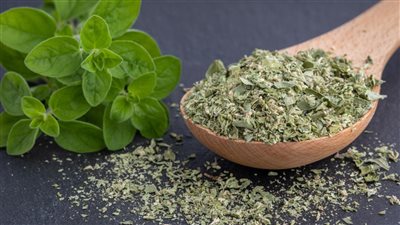 فوائد البردقوش، مهم للصحة لكن لا ينصح به للحوامل 