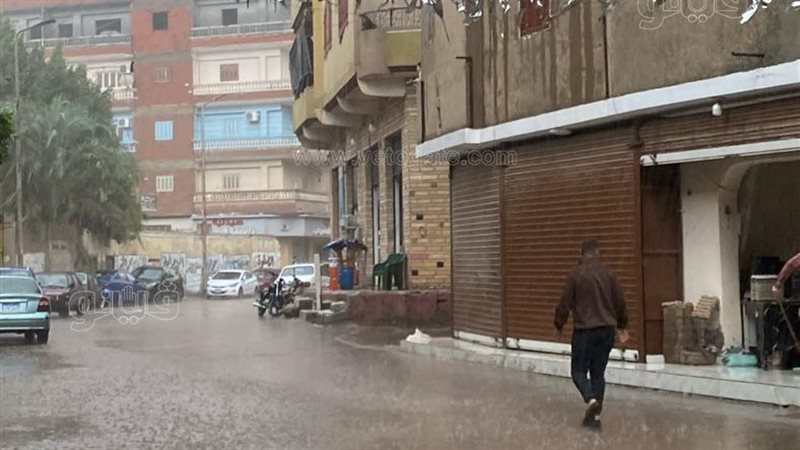 حالة الطقس غدا، فيتو