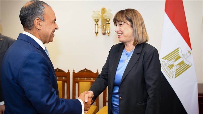 لقاء وزير الخارجية