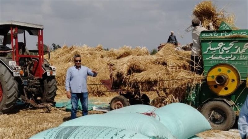 المواقع التخزينية