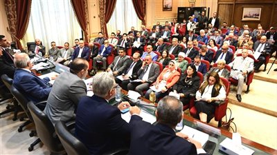  الحكومة: مشكلة الإيجار القديم في امتداد العقد وثبات الأجرة