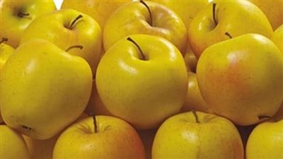 فوائد التفاح الأصفر، يخفض الكوليسترول ويحمى من سرطان الرئة والقولون 