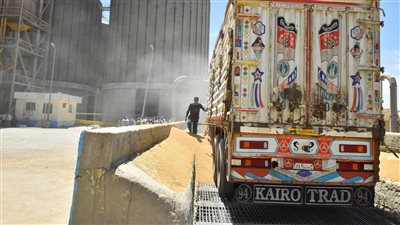 توريد 46 ألف طن قمح إلى صوامع أسيوط 