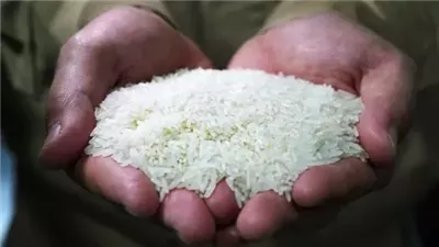 تعرف على سعر الأرز المعبأ 