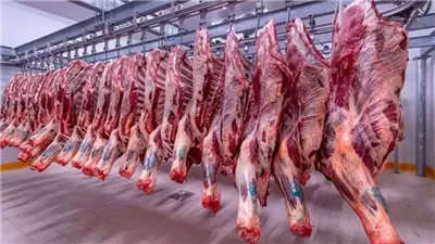 بزيادة تصل إلى 53 جنيها، أسعار اللحوم تواصل الارتفاع لليوم الثاني على التوالي