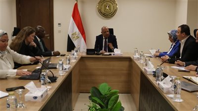 وزير الكهرباء يبحث مع وفد مؤسسة التمويل الدولية التوسع في أنظمة تخزين الطاقة